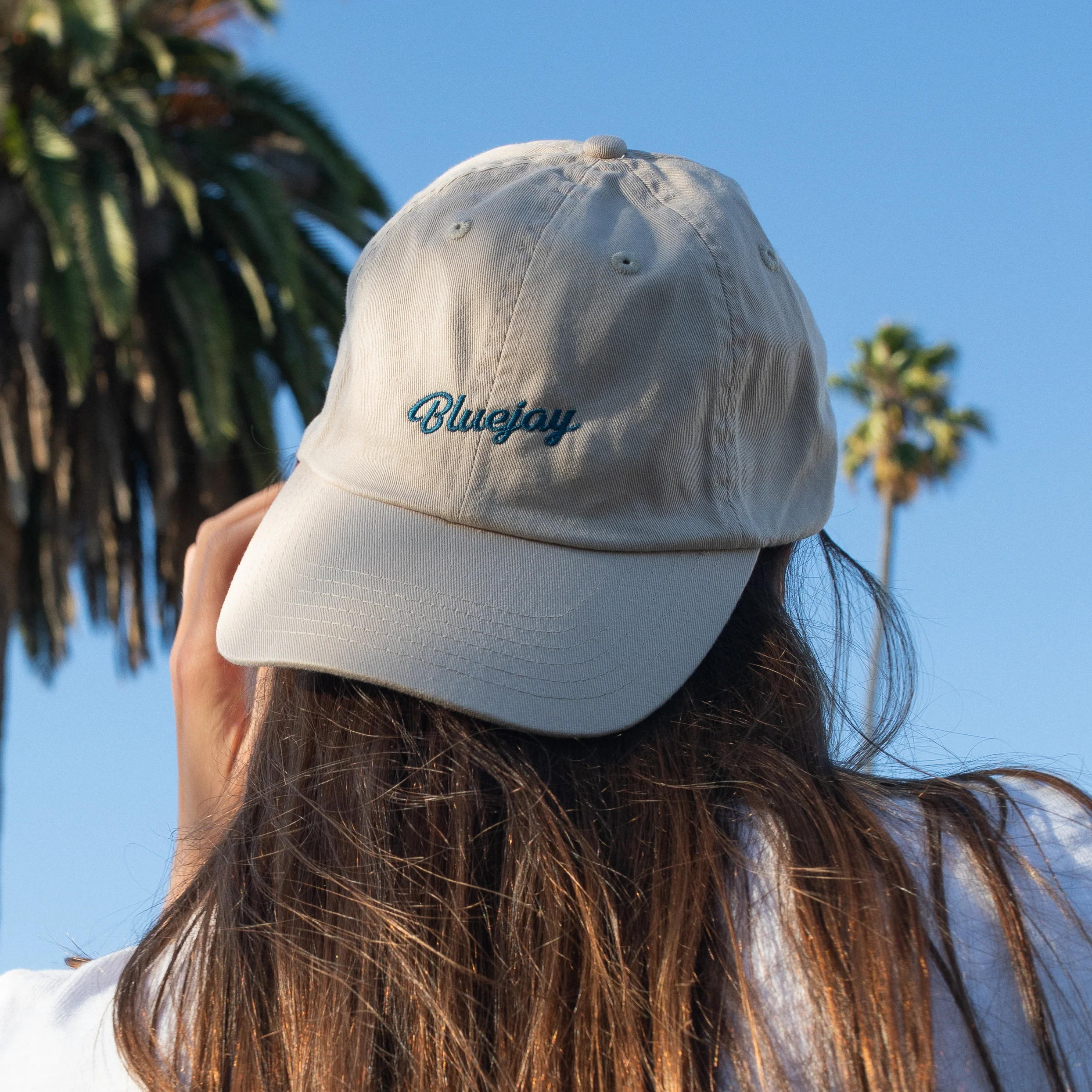Bluejay Dad Hat - Image 2