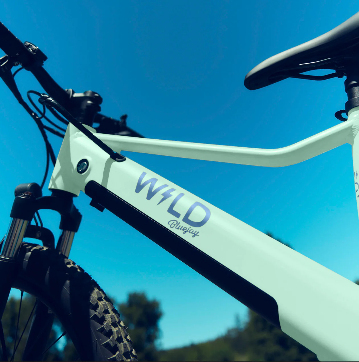 Bluejay WILD: Adult - Mint Green Electric Bike - Image 6