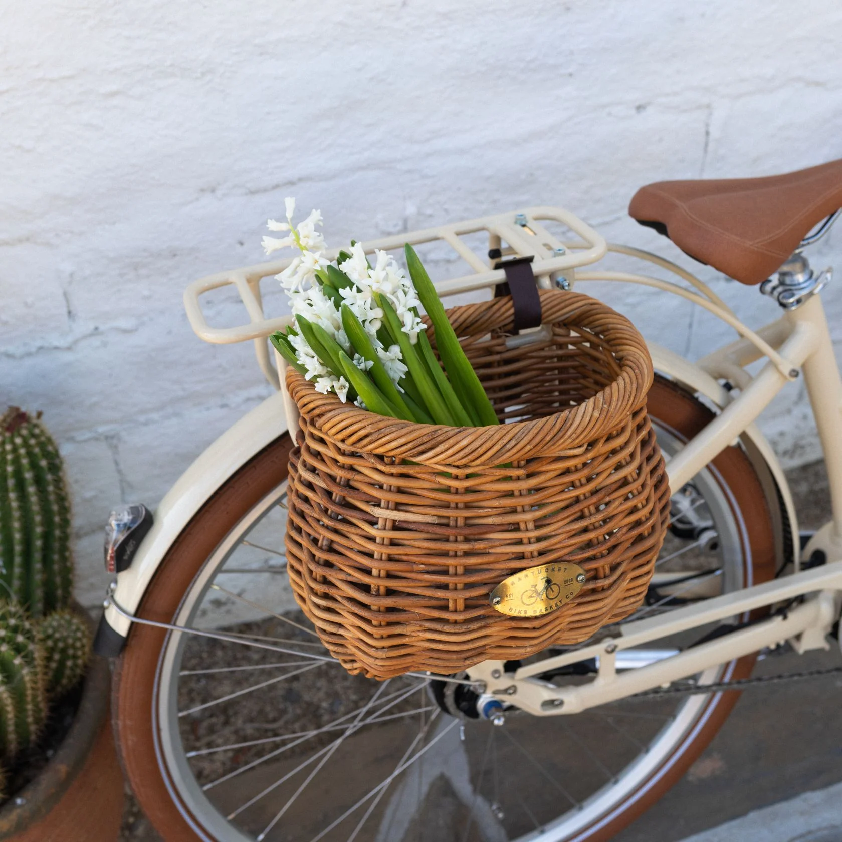 Cisco Classic Basket - Image 4