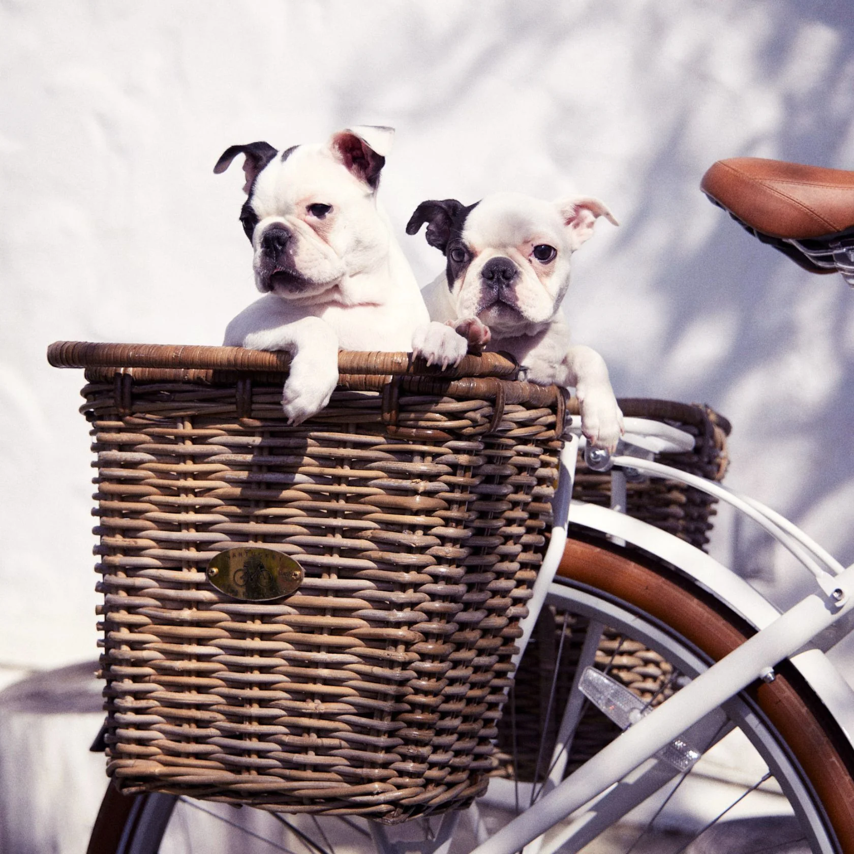 Pannier Nantucket Bike Basket - Image 4