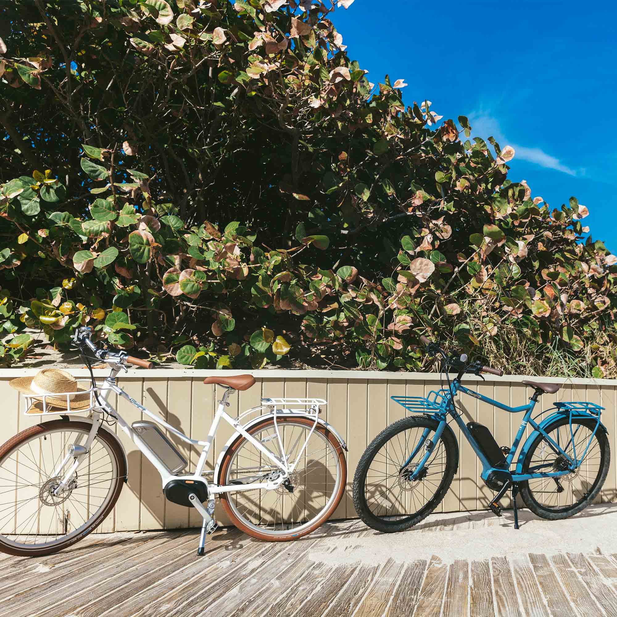 Bluejay Sport - Bluejay Blue Electric Bike - Image 7